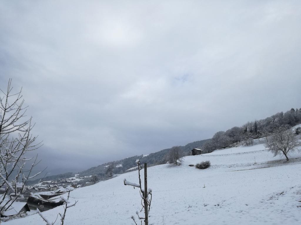 Brunnerhof Villa เฟลด์ทูร์นส์ ภายนอก รูปภาพ