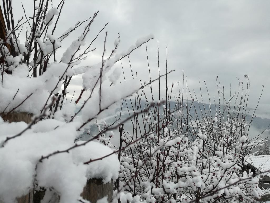 Brunnerhof Villa เฟลด์ทูร์นส์ ภายนอก รูปภาพ
